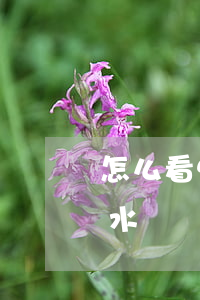 怎么看懂信用卡逾期銀行流水(信用卡 銀行流水)