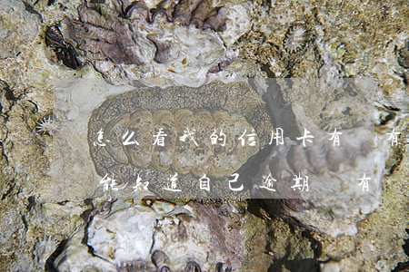 怎么看我的信用卡有沒有逾期（信用卡怎么才能知道自己逾期沒有）