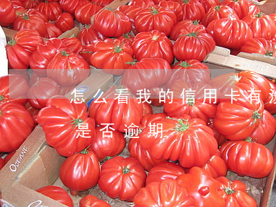 怎么看我的信用卡有沒有逾期(如何看信用卡是否逾期)