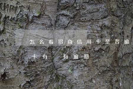 怎么看招商信用卡是否逾期(招商怎么查信用卡有沒有逾期)