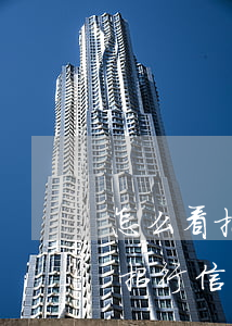 怎么看招行信用卡分期總共欠多少-怎么看招行信用卡分期總共欠多少錢