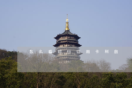怎么看招行信用卡利息
