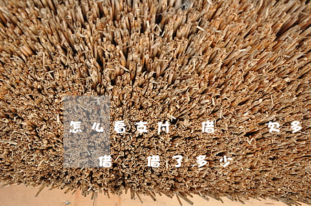 怎么看支付寶借唄還欠多少錢(如何查看支付寶借唄借了多少錢)