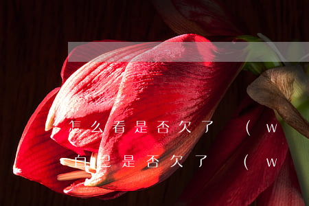 怎么看是否欠了網(wǎng)貸(如何查詢自己是否欠了網(wǎng)貸)