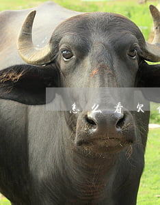 怎么看欠信用卡(怎么看信用卡欠不欠錢)