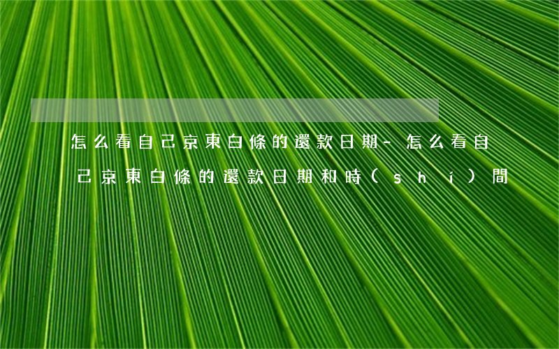 怎么看自己京東白條的還款日期-怎么看自己京東白條的還款日期和時(shí)間