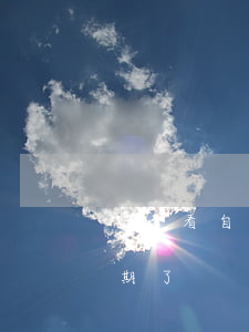怎么看自己信用卡逾期(怎么看自己信用卡逾期了)