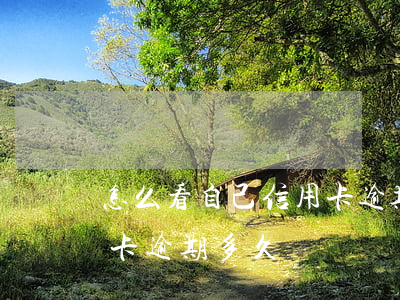 怎么看自己信用卡逾期時間(怎么看自己信用卡逾期多久)