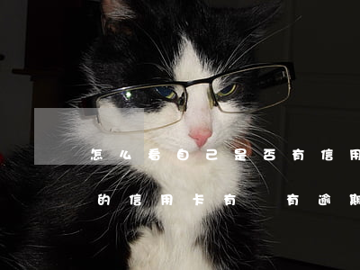 怎么看自己是否有信用卡逾期(如何知道自己的信用卡有沒有逾期)