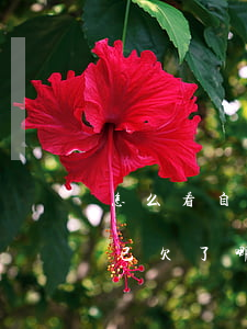 怎么看自己欠了網(wǎng)貸(怎么看自己欠了哪些網(wǎng)貸)