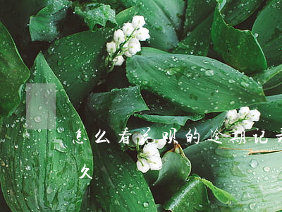 怎么看花呗的逾期记录（如何查花呗已逾期多久）