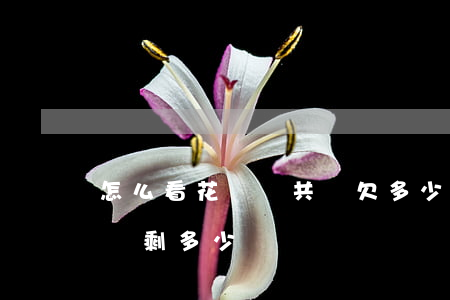 怎么看花唄總共還欠多少錢了(怎么查看花唄還剩多少錢沒還)
