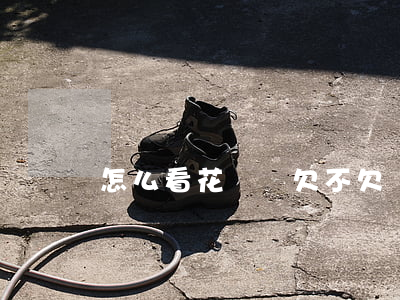 怎么看花唄還欠不欠錢(怎么看花唄還欠不欠錢)