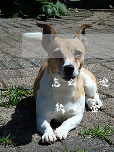 怎么看逾期最后還款時(shí)間(逾期還款的金額可在什么時(shí)間查詢)