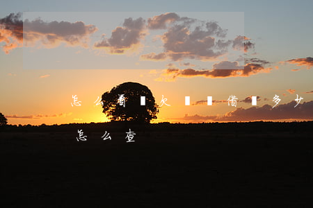 怎么看還欠螞蟻借唄多少錢(借唄欠款總金額怎么查)