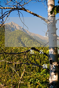 怎么知道一個(gè)律師好不好(怎么知道一個(gè)律師好不好)
