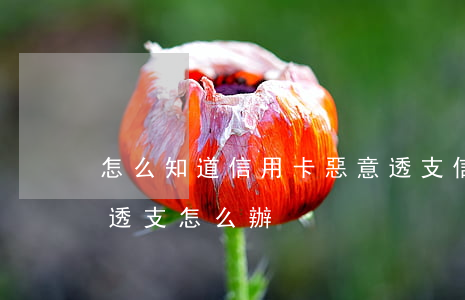 怎么知道信用卡惡意透支(信用卡被別人惡意透支怎么辦)