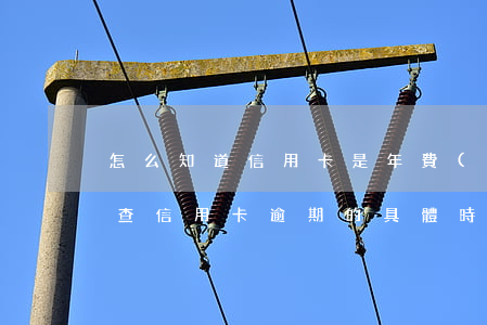 怎么知道信用卡是年費(fèi)逾期(怎么查信用卡逾期的具體時間)
