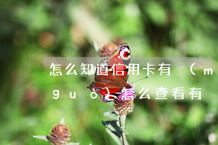 怎么知道信用卡有沒(méi)有逾期過(guò)(怎么查看有沒(méi)有信用卡逾期)