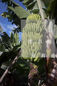 怎么知道信用卡逾期了沒有(如何看信用卡有沒有逾期)