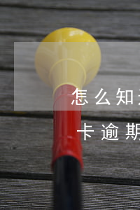 怎么知道信用卡逾期多久被起訴(怎么看信用卡逾期了多久)