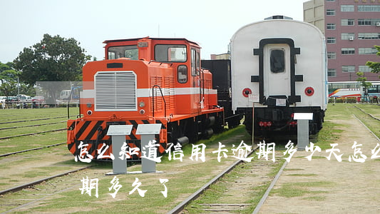 怎么知道信用卡逾期多少天(怎么查信用卡逾期多久了)