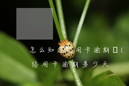 怎么知道信用卡逾期時(shí)間(怎么看信用卡逾期多少天)