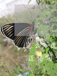 怎么知道信用卡逾期有沒有上征信-怎么知道信用卡逾期有沒有上征信記錄