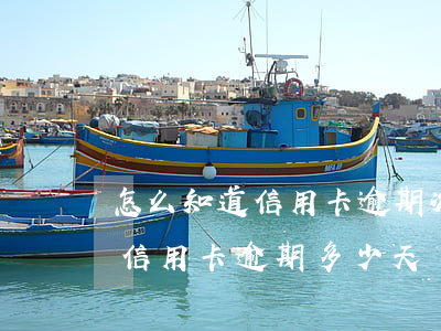 怎么知道信用卡逾期次數(shù)(怎么看信用卡逾期多少天)