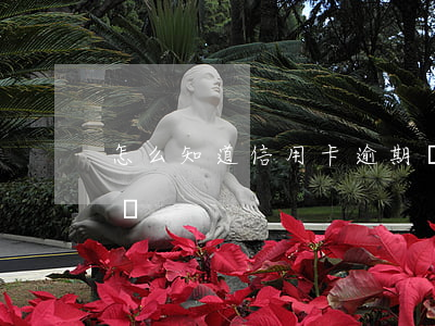 怎么知道信用卡逾期沒有(怎么看信用卡逾期沒)