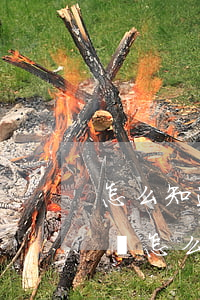 怎么知道借唄一共還欠多少錢(借唄欠款總金額怎么查)