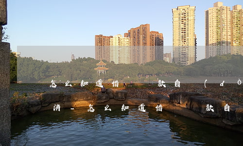 怎么知道借唄還款自動(dòng)扣款取消-怎么知道借唄還款自動(dòng)扣款取消了