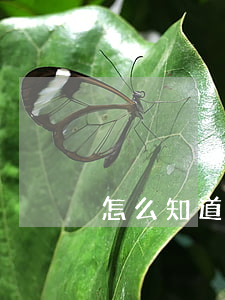 怎么知道再有錢花欠了錢(有錢花怎么查欠款)