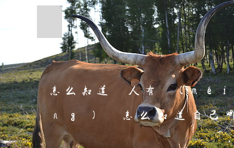 怎么知道別人有沒(méi)有欠網(wǎng)貸(怎么知道自己哪里欠網(wǎng)貸)