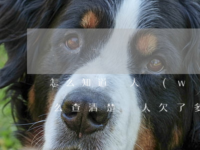 怎么知道別人網(wǎng)貸欠了多少(怎么查清楚別人欠了多少網(wǎng)貸)