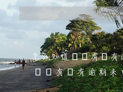 怎么知道國稅有沒有逾期未申報-怎么知道國稅有沒有逾期未申報的
