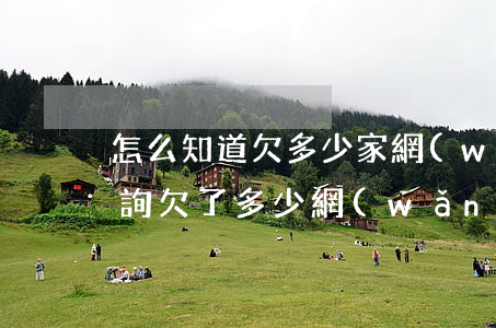 怎么知道欠多少家網(wǎng)貸(怎樣查詢欠了多少網(wǎng)貸)