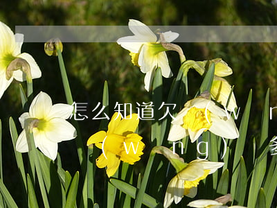 怎么知道欠網(wǎng)貸多少(怎么查欠網(wǎng)貸多少錢)