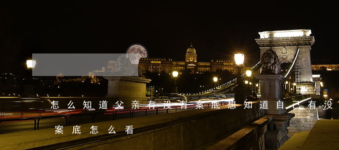 怎么知道父亲有没有案底(想知道自己有没有案底怎么看)