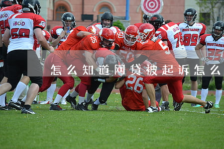 怎么知道网贷被起诉(怎么知道网贷被起诉)