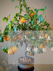 怎么知道网贷逾期被起诉了(怎么知道网贷逾期被起诉了)