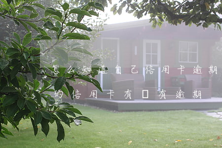怎么知道自己信用卡逾期沒有(如何知道自己的信用卡有沒有逾期)