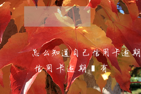 怎么知道自己信用卡逾期沒有(怎么知道自己信用卡逾期沒有)