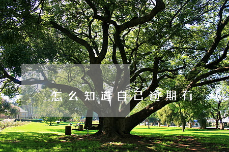 怎么知道自己逾期有沒(méi)有被消除-