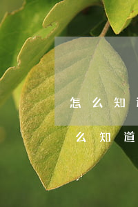 怎么知道自己還欠什么網(wǎng)貸(怎么知道自己還欠多少網(wǎng)貸)