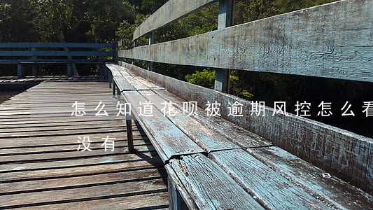 怎么知道花呗被逾期风控(怎么看花呗风控了没有)
