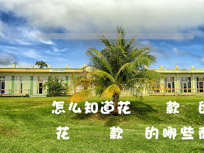怎么知道花唄還款還的哪些商品-怎么知道花唄還款還的哪些商品呢