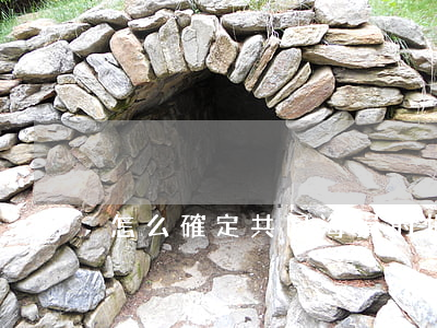 怎么確定共同海損的損失