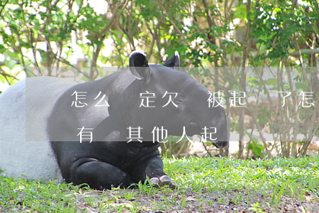 怎么確定欠錢被起訴了(怎樣知道債務人有沒有給其他人起訴)