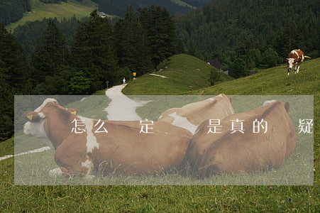 怎么確定遺囑是真的(懷疑遺囑是假的,咋辦)